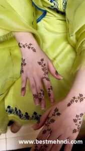 0166dbbe0c60b22cc225f230c5801919 600x600 - mehndi