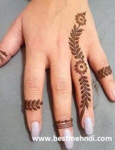 0537d668a9118ac0c4d0f490f4801149 600x600 - mehndi