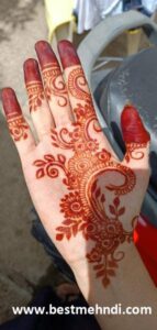 6b6f3cf23178793078376239300efb33 600x600 - mehndi