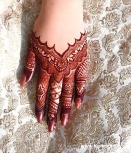 Pakistani-Mehndi-Design-1