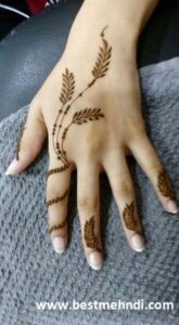 c6651d6452e8c8dacd817d939ba10046 600x600 - mehndi