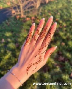 d77b8e7f5c9e62babfafb48f6278031f 600x600 - mehndi