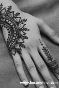 de2dbffb4cb3f9f8f2bd94868f012547 600x600 - mehndi